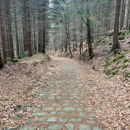 U Broumovskych Sten Ferienhaus *