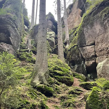 U Broumovskych Sten 度假居 Božanov